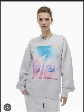 Aritzia Gray Crewneck Sweatshirt with Pink & Blue Graphic Size Xl